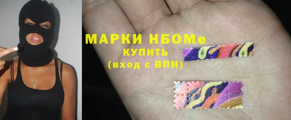 шишки Слюдянка