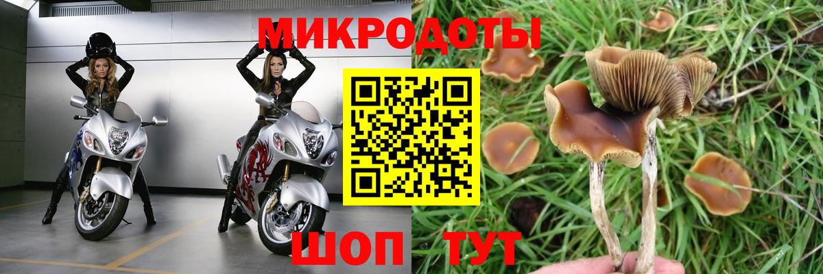 Галлюциногенные грибы прущие грибы Вольск