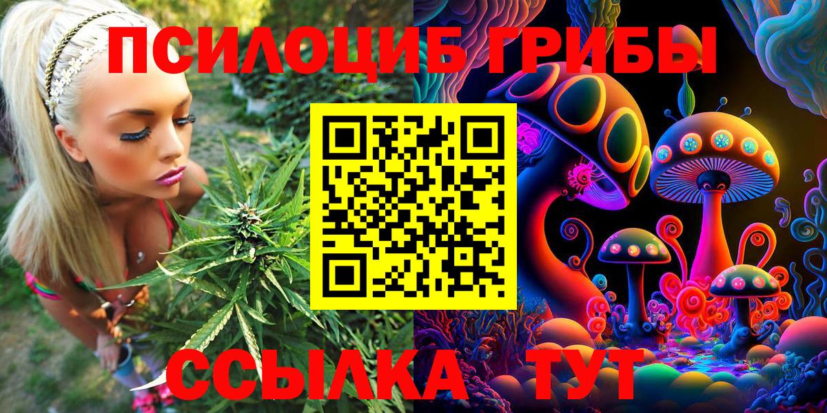 Псилоцибиновые грибы Psilocybe  Псилоцибиновые грибы GOLDEN TEACHER  Вольск  Вход с VPN 